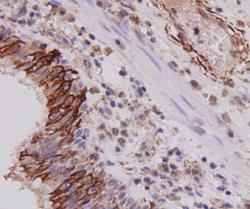 EM0702_3.jpg