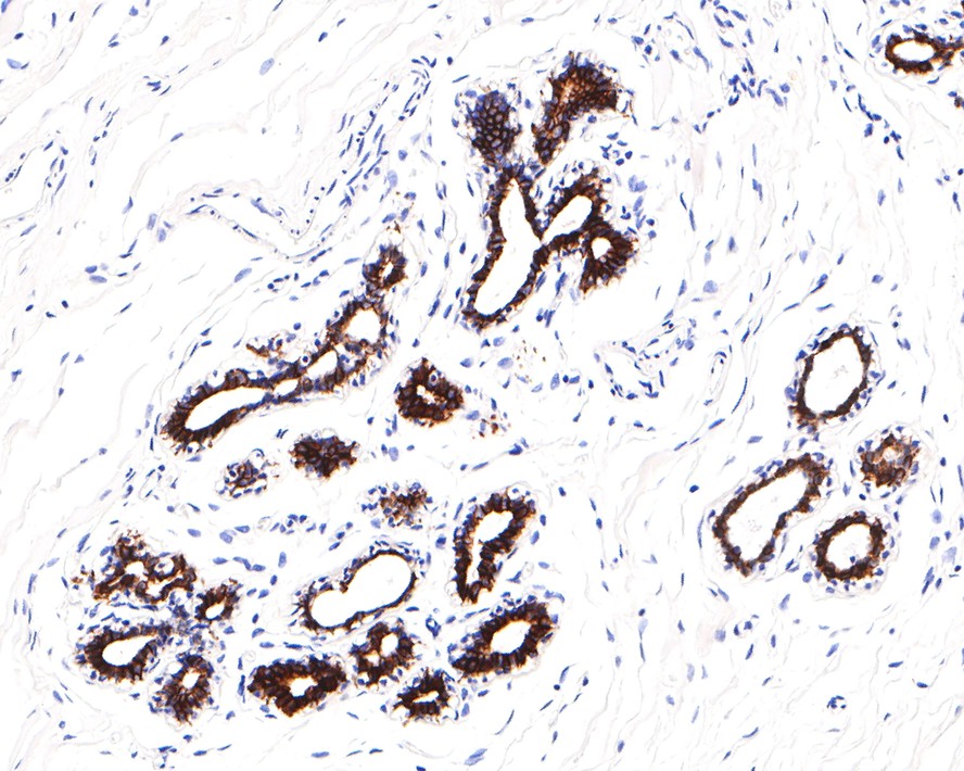 EM0702_4.jpg