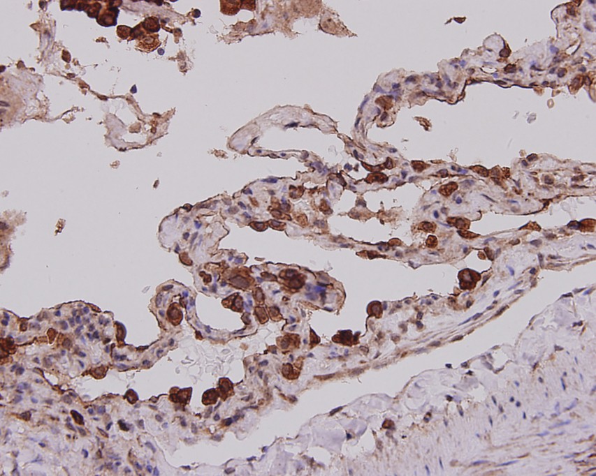 EM0702_5.jpg