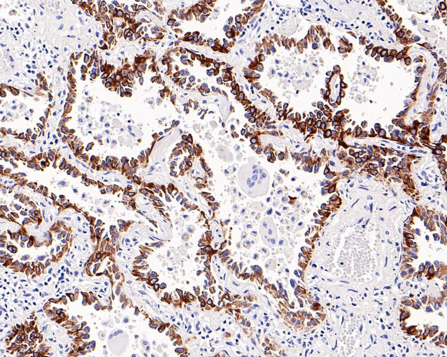 EM0702_7.jpg