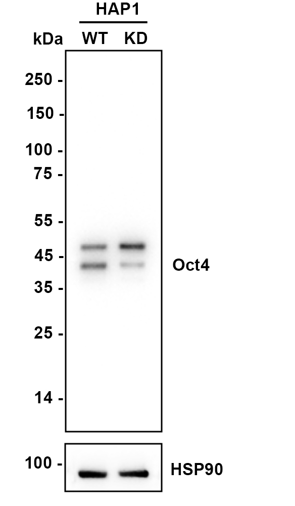 EM100306_1.jpg