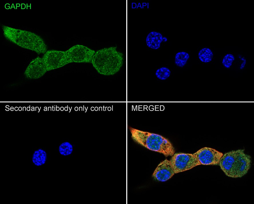 EM1101_3.jpg