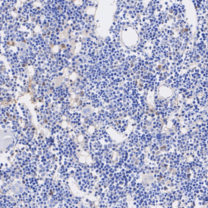 EM1701-52_5.jpg
