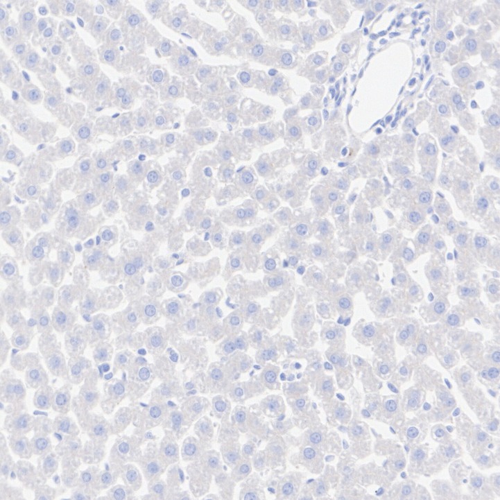 EM1701-52_7.jpg