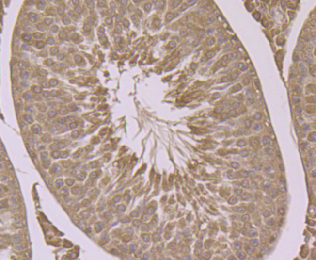 EM1701-78_2.jpg