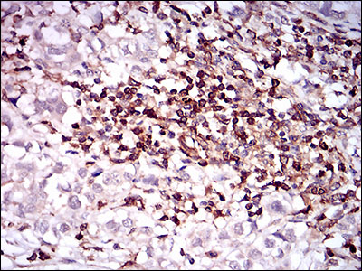 EM1706-11_6.jpg