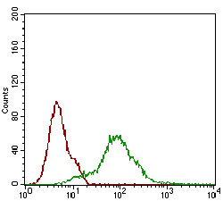 EM1706-11_7.jpg