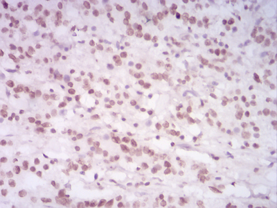EM1706-19_3.jpg