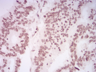 EM1706-19_4.jpg