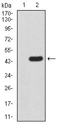 EM1706-23_2.jpg