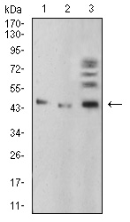 EM1706-23_3.jpg