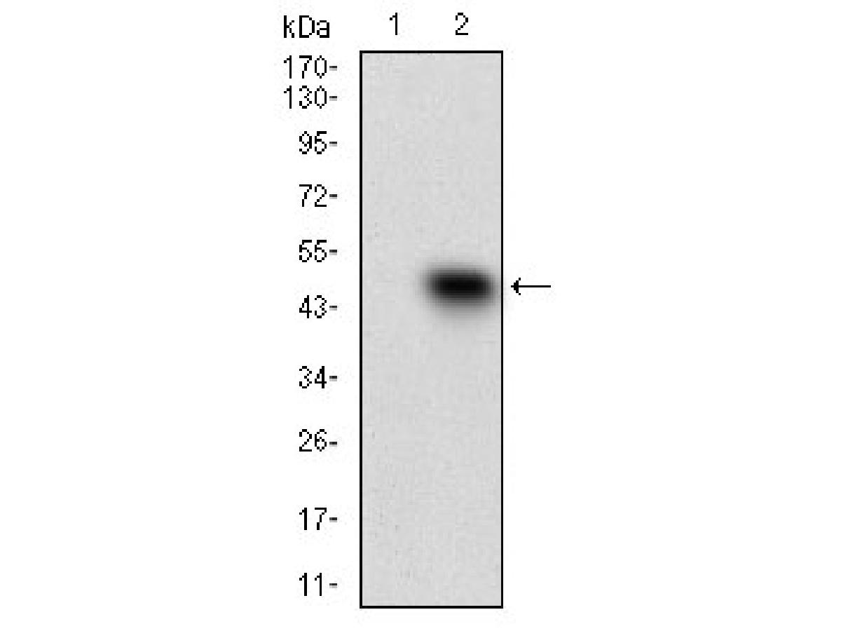 EM1706-39_1.jpg