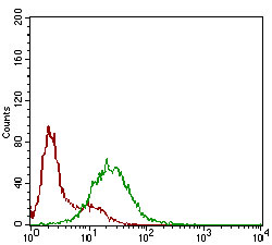 EM1706-39_3.jpg