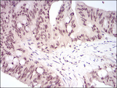 EM1706-45_4.jpg