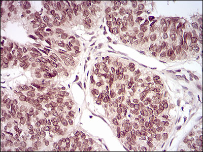 EM1706-55_4.jpg