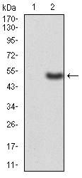EM1706-63_2.jpg