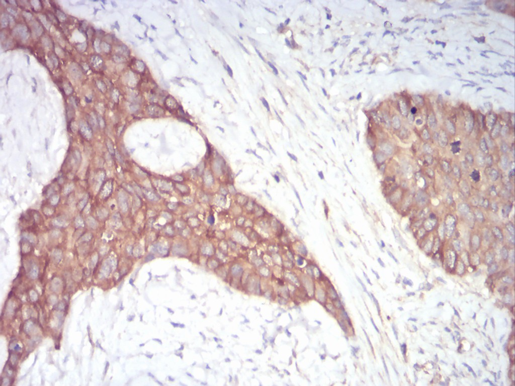 EM1706-63_3.jpg