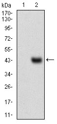 EM1706-65_2.jpg