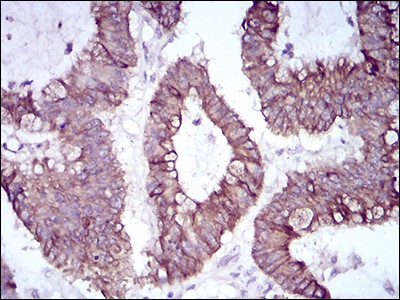 EM1706-65_6.jpg