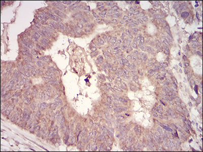 EM1706-67_2.jpg