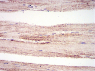 EM1706-67_3.jpg