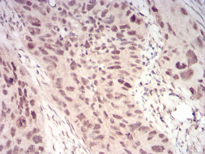 EM1706-68_5.jpg