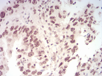 EM1706-68_6.jpg