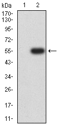 EM1706-72_2.jpg