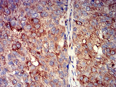 EM1706-72_3.jpg