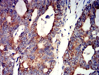 EM1706-72_4.jpg