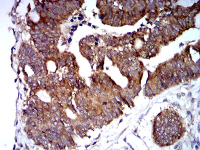 EM1707-34_6.jpg