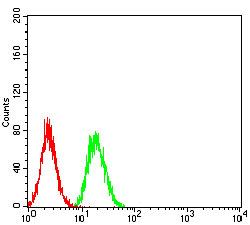 EM1707-34_7.jpg