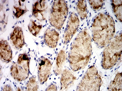 EM1707-36_4.jpg