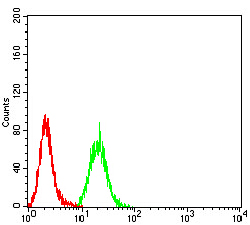 EM1707-36_5.jpg
