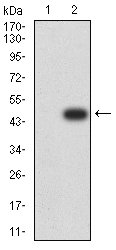 EM1707-59_2.jpg