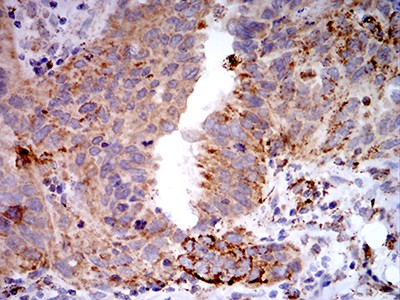 EM1707-59_4.jpg