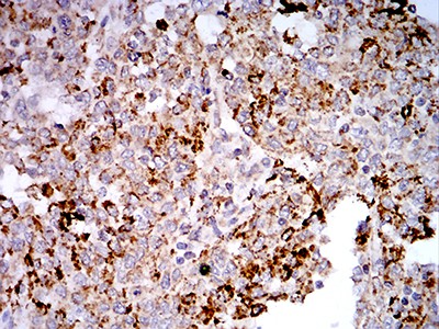EM1707-59_5.jpg
