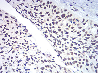 EM1707-66_4.jpg