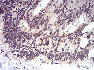 EM1707-66_5.jpg