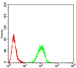EM1707-77_7.jpg