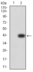 EM1707-94_2.jpg