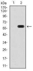 EM1708-14_2.jpg