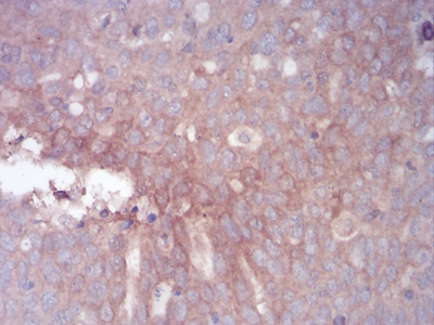 EM1708-22_2.jpg
