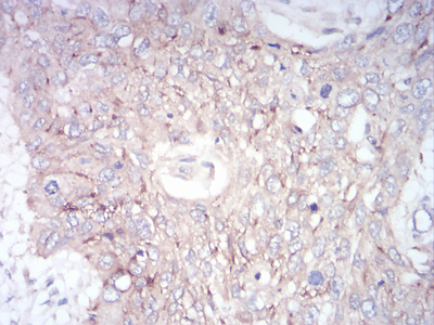 EM1708-22_3.jpg
