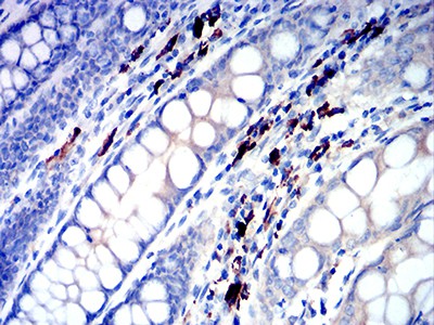 EM1708-42_3.jpg
