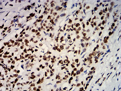 EM1708-51_5.jpg