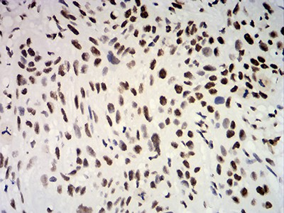 EM1708-51_6.jpg