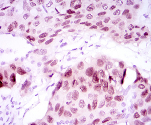 EM1708-84_3.jpg