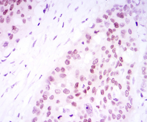 EM1708-84_4.jpg