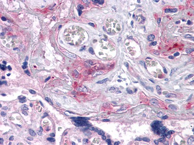 EM1708-88_2.jpg